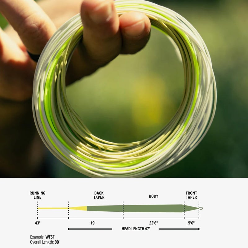 RIO PRODUCTS Premier Gold Fly Line, Easy to Cast Flies from Size 2 to 22, Ultimate All-Around Fly Line with Ultra-Slick Performance, Moss/Gold, 90ft, WF7F - Image 2